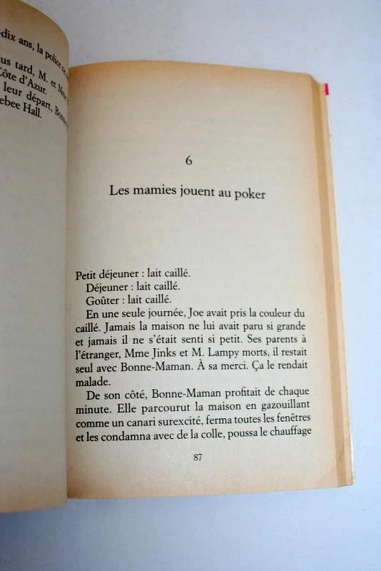 Verdomde Grootmoeder van Anthony Horowitz – photo 3